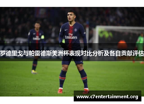 罗德里戈与帕雷德斯美洲杯表现对比分析及各自贡献评估