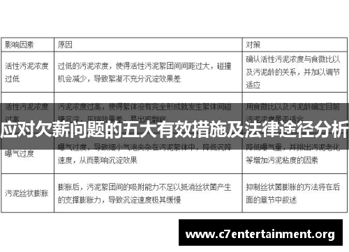 应对欠薪问题的五大有效措施及法律途径分析