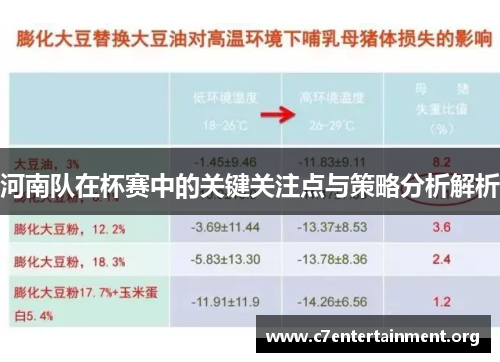 河南队在杯赛中的关键关注点与策略分析解析