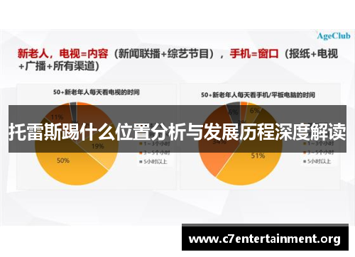 托雷斯踢什么位置分析与发展历程深度解读