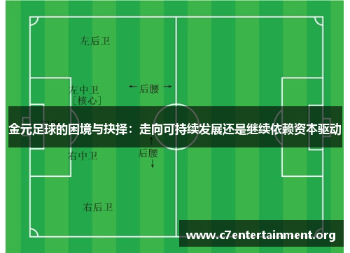 金元足球的困境与抉择：走向可持续发展还是继续依赖资本驱动