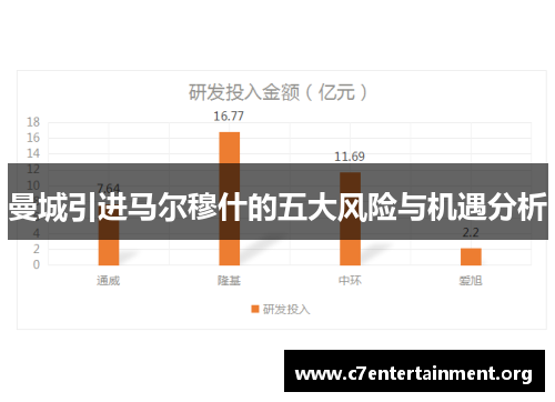 曼城引进马尔穆什的五大风险与机遇分析
